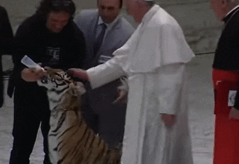  교황을 두려워 하는 호랑이...왜 VIDEO:Pope Francis pets a tiger which tries to bite him during carnival