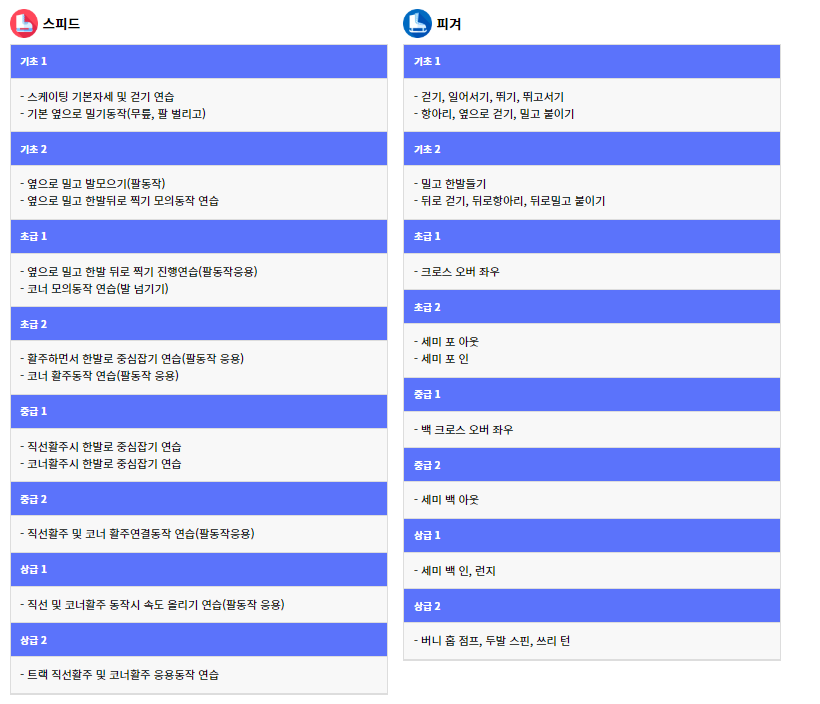 스케이트강습프로그램수준별안내