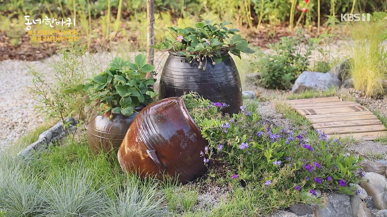 동네 한 바퀴.E277.240609p-NEXT.mp4_20240609_162909.818.jpg