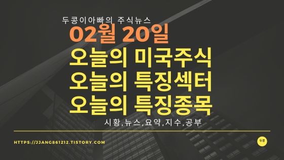  20년 02월 20일 미국증시,특징섹터,특징종목