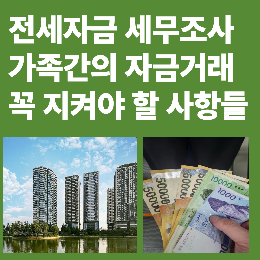 전세자금세무조사