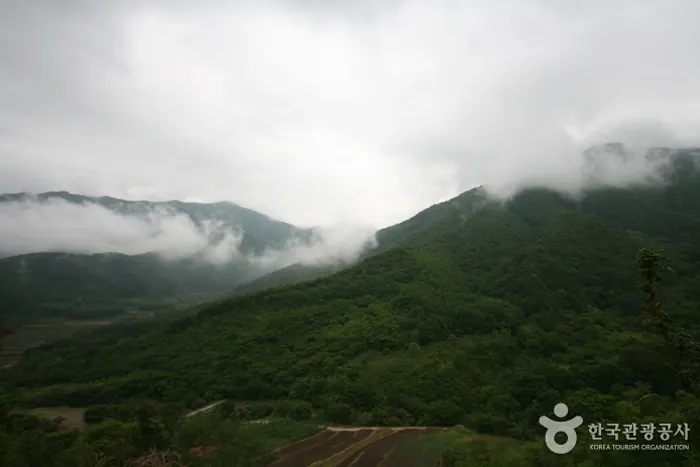 지리산 국립공원 전경 이미지