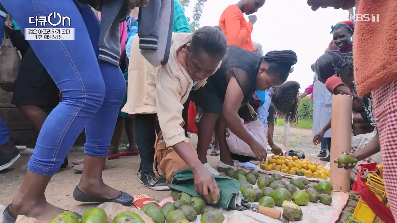 다큐 온.E250.240602p-NEXT.mp4_20240602_152656.975.jpg