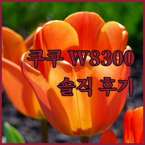 쿠쿠 공기청정기 W8300, 내돈내산