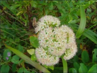 술시는 몇시일까 자시 몇시 한국 전통 시간 알아보기_10