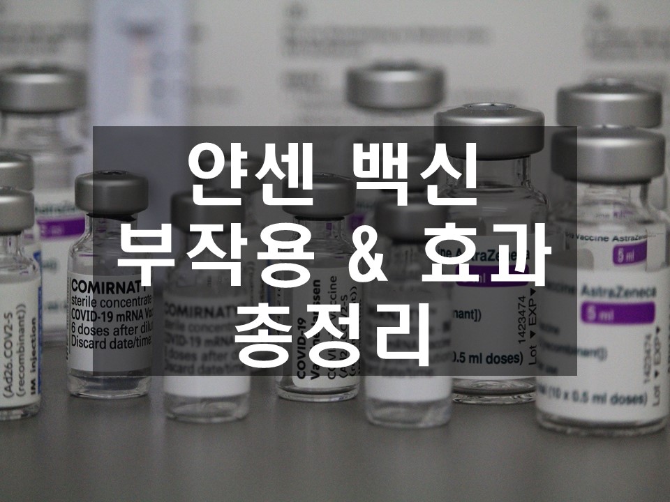 얀센-백신-부작용-효과-총정리-대표-사진