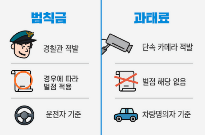 범칙금 과태료 차이 차이점