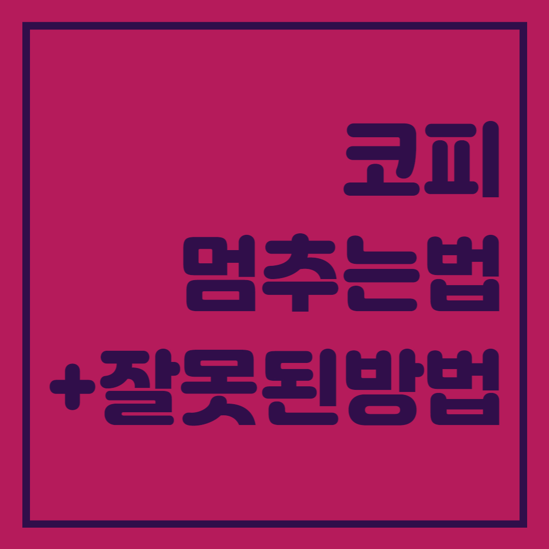  코피 멈추는 법 및 위험한 방법