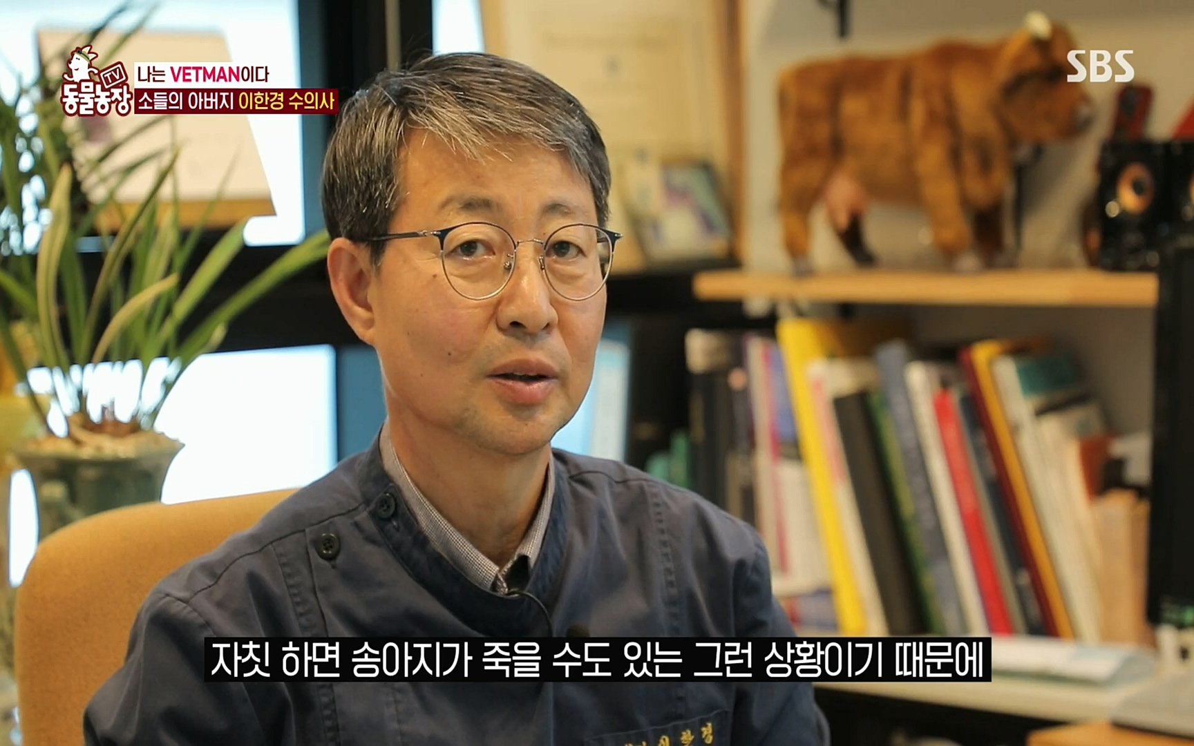 TV 동물농장.E1069.220515p.H264-F1RST.mp4_20220515_180018.739.jpg