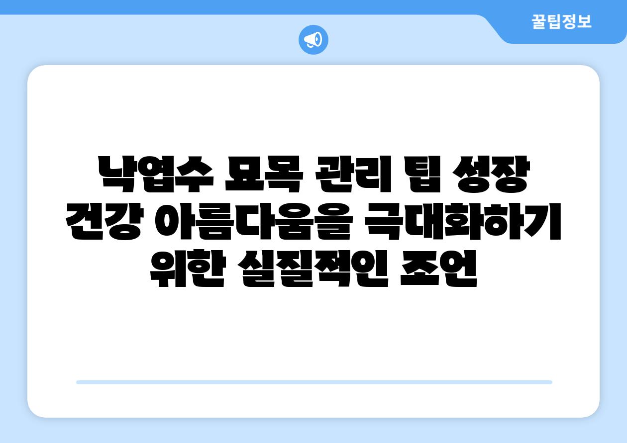 낙엽수 묘목 관리 팁 성장 건강 아름다움을 극대화하기 위한 실질적인 조언