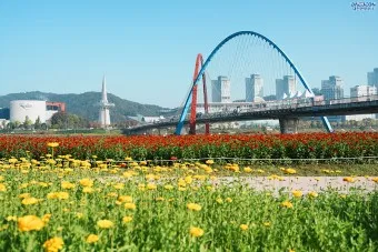 대전 맛집 베스트10 현지인 숨겨진 맛집 알아보기_3