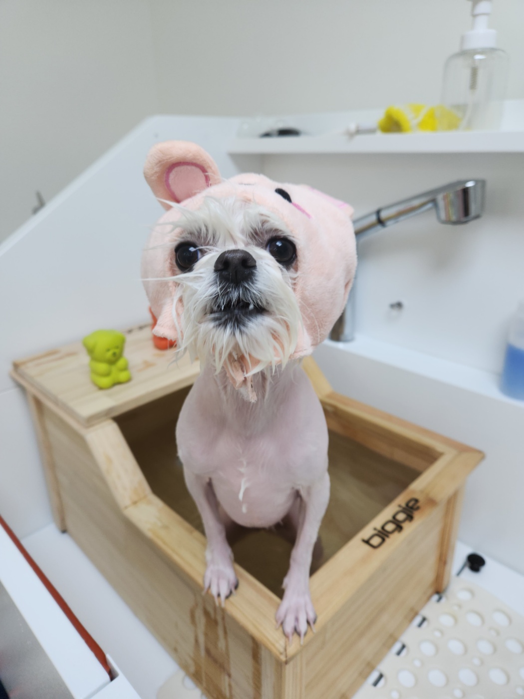 연두미용실 이미지