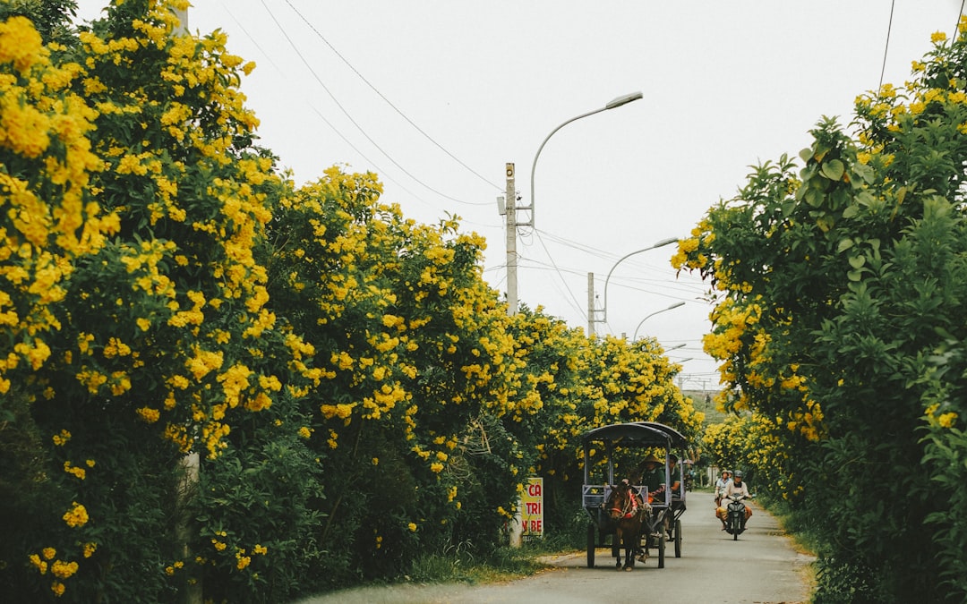 Pohang