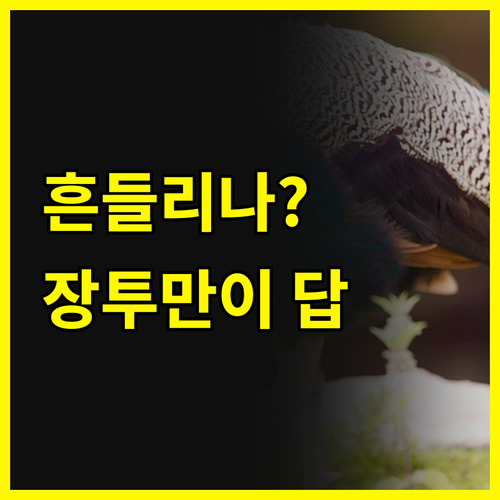 엔비디아 전망, UBS도 흔들? 그래
