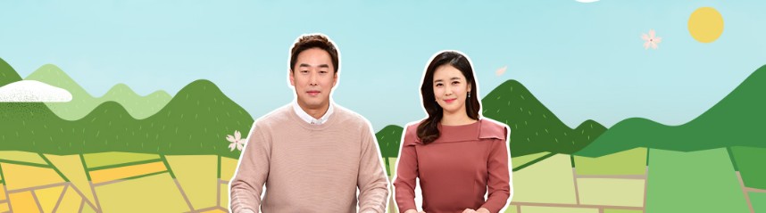 6시 내고향