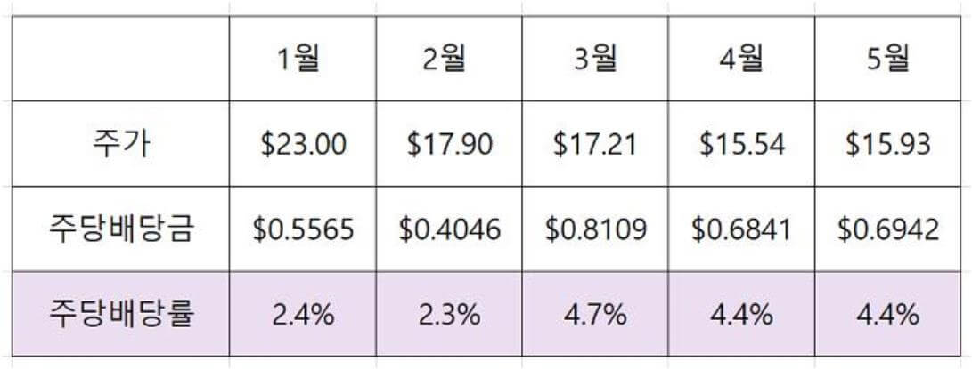 TSLY ETF 정보