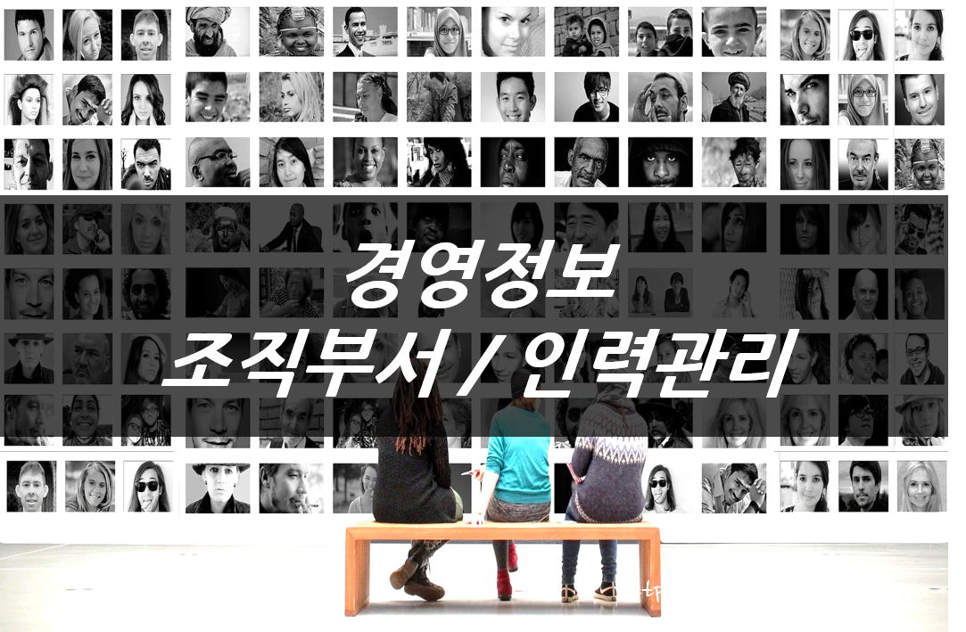  경영정보 : MIS 조직부서 / 인력관리