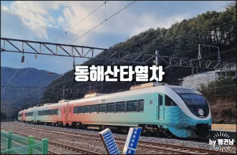 동해산타열차 시간표 예매가능한 날 가격_11