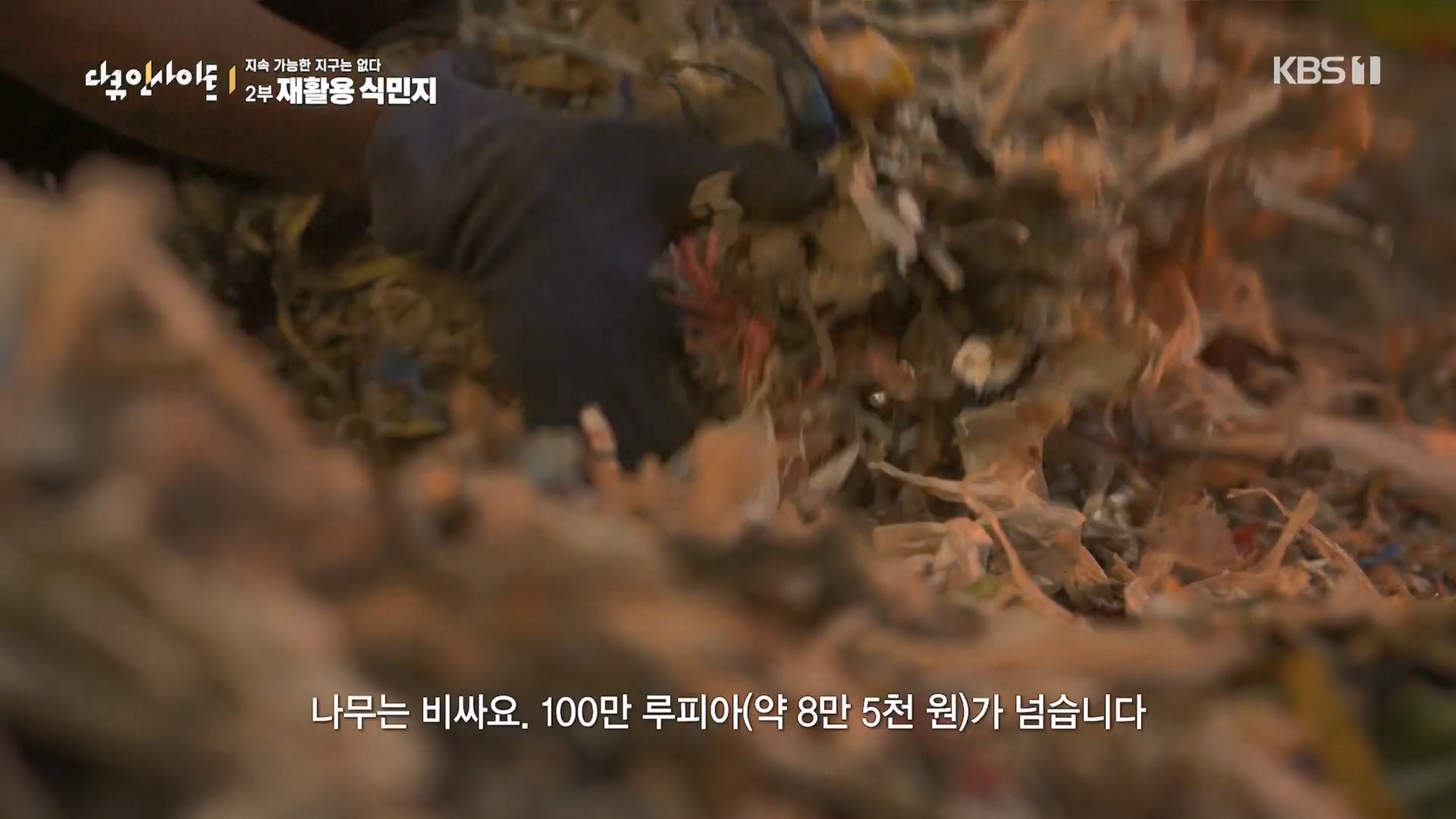 다큐 인사이트.E181.240118p.H264-F1RST.mp4_20240119_202850.227.jpg