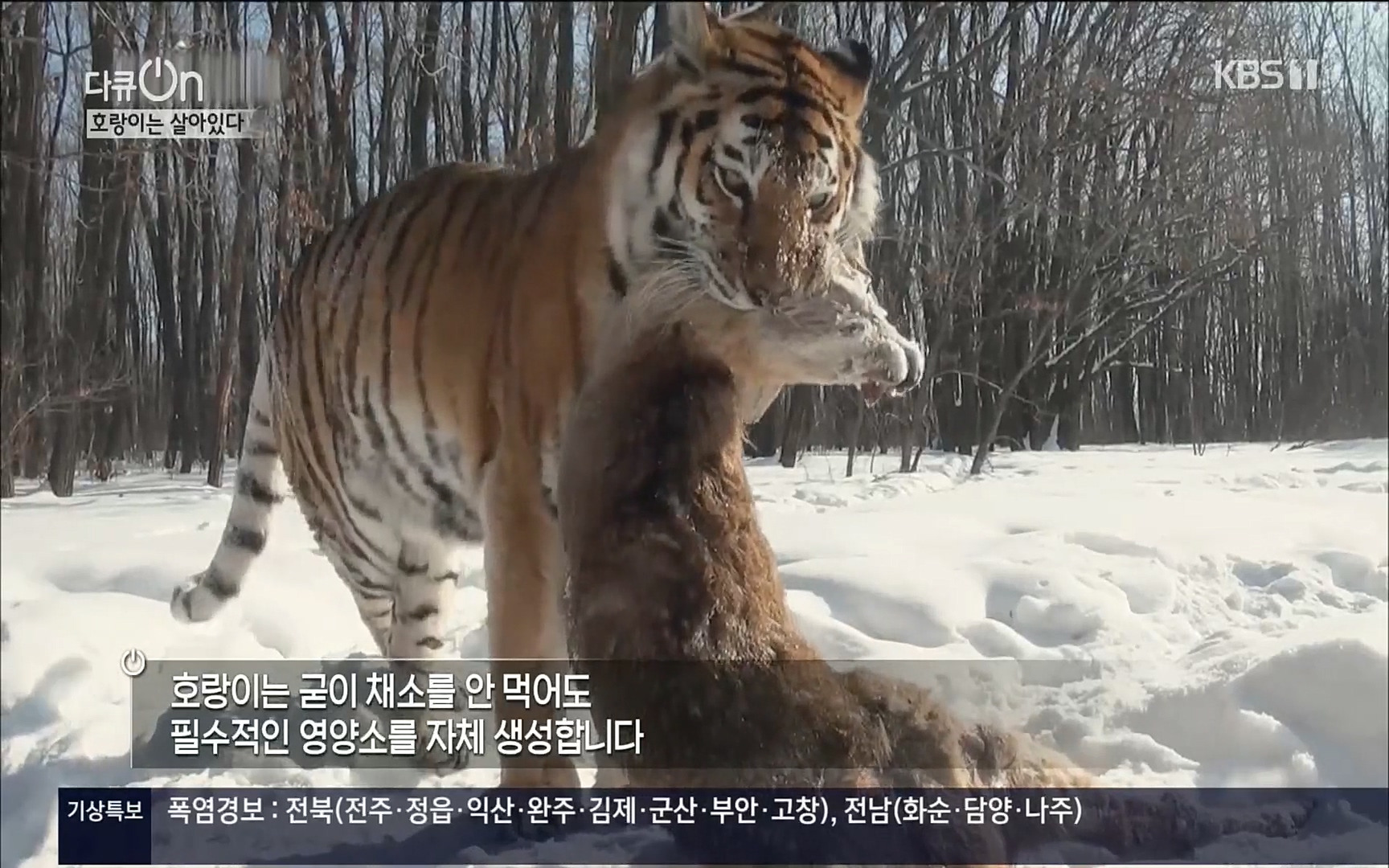 다큐 On.E150.220729p.H264-F1RST.mp4_20220730_164058.101.jpg
