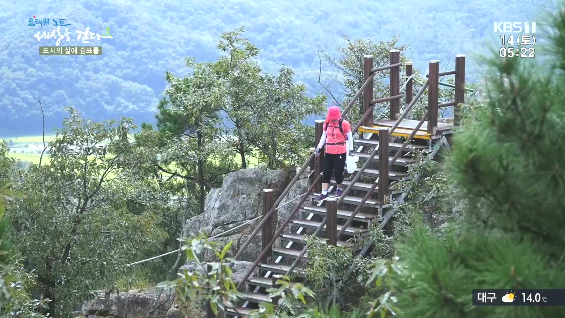 트레킹노트 세상을 걷다.E290.231014p.H264-F1RST.mp4_20231014_175737.828.jpg