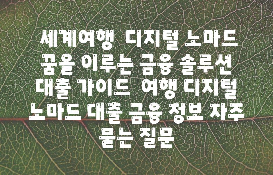  세계여행  디지털 노마드 꿈을 이루는 금융 솔루션 대출 안내  여행 디지털 노마드 대출 금융 정보 자주 묻는 질문