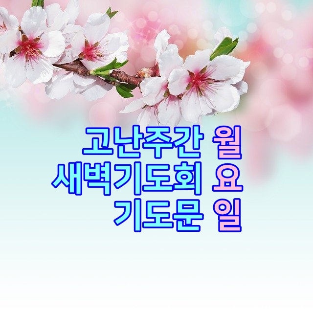  고난주간 월요일 새벽기도회 기도문