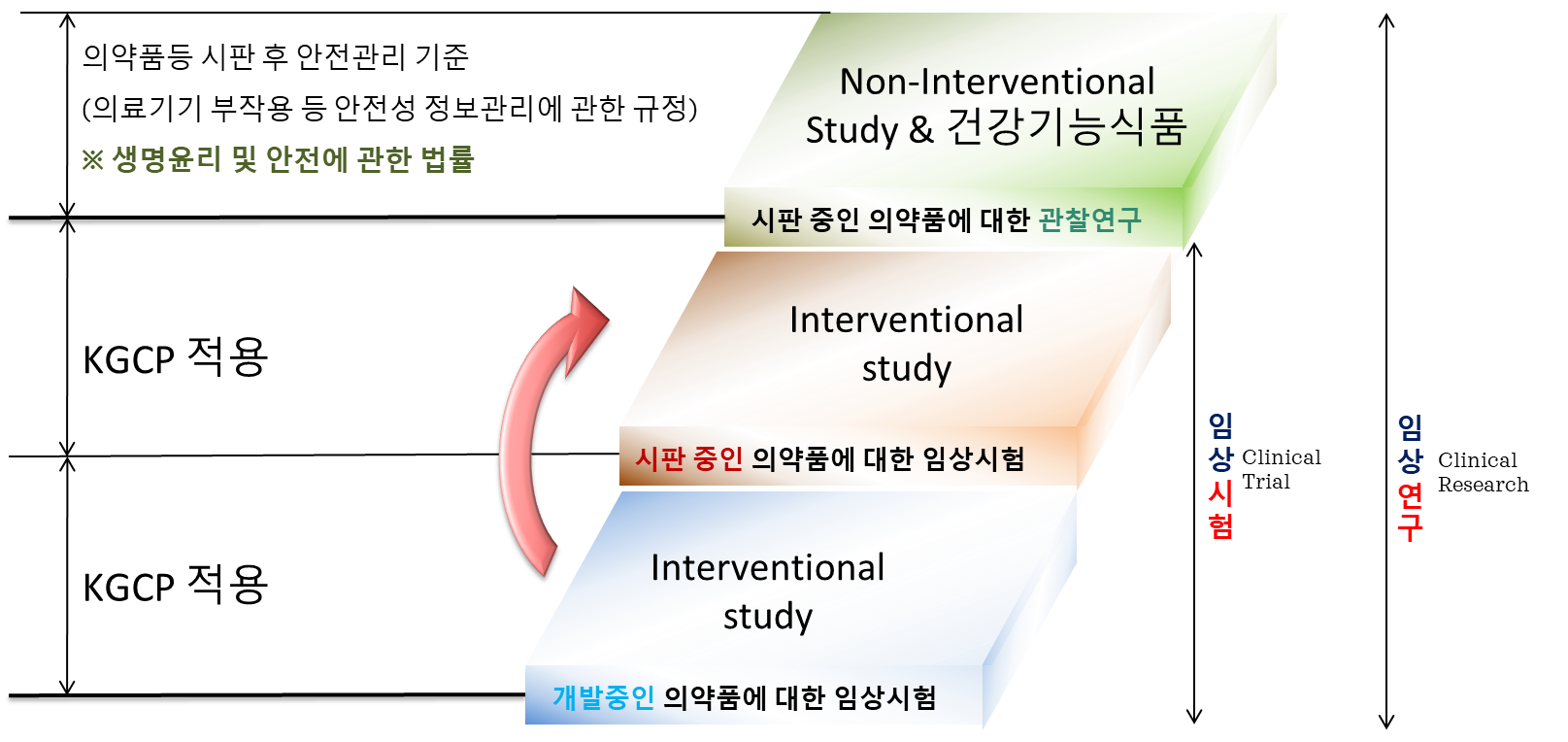 임상시험관리기준(KGCP) 적용 범위- 임상시험-임상연구