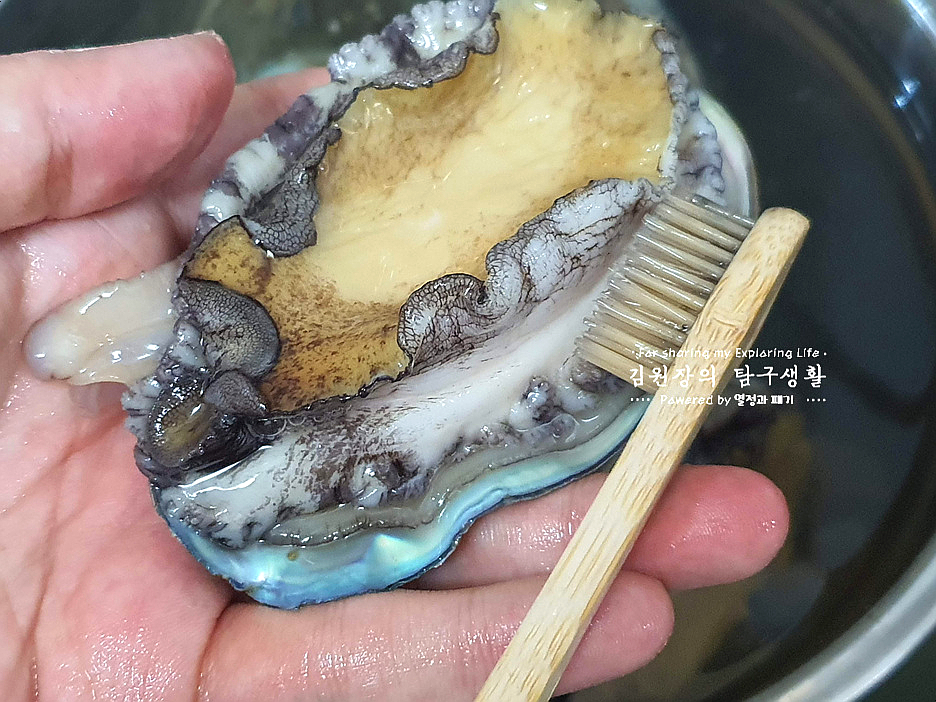 손질 하는법 활전복 보관 방법 전복회 손질 전복 내장 6