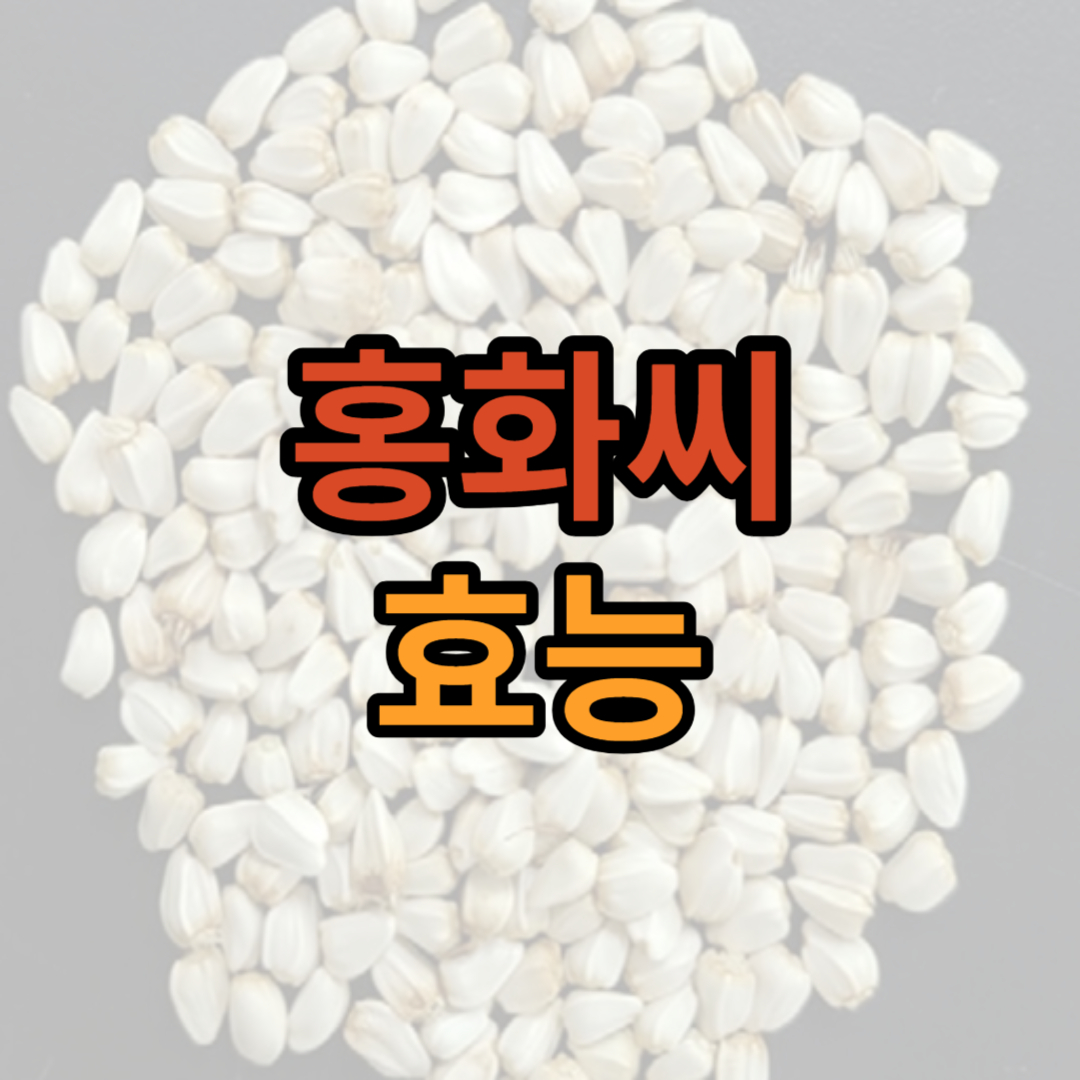 홍화씨-효능-썸네일