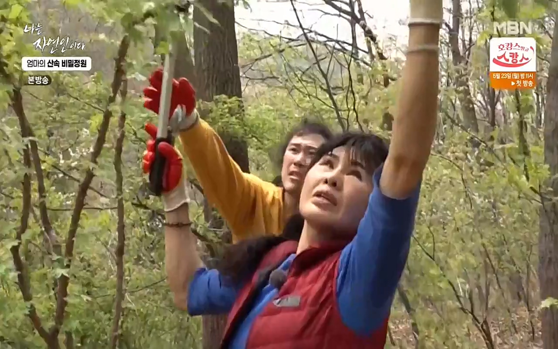 나는 자연인이다.E501.220512p-NEXT.mp4_20220512_185621.569.jpg