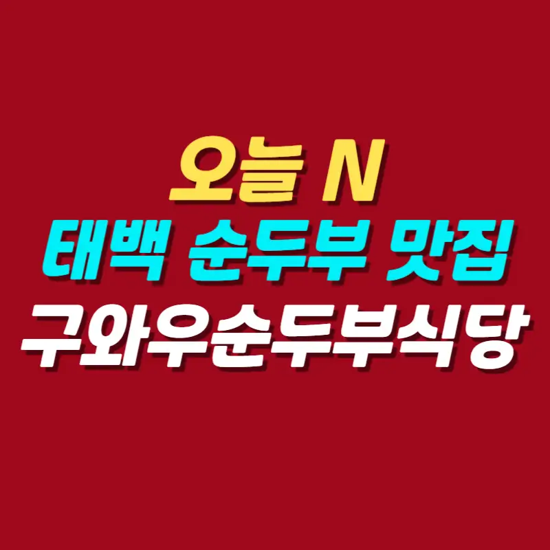 오늘-N-태백-바람의-언덕-순두부-맛집