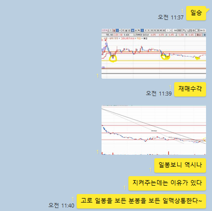 와이제이솔루션 이미지