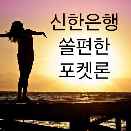  신한은행 쏠편한 포켓론 부결 시 해결 방법 및 대출조건 한 방에 정리