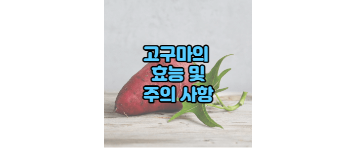고구마1개-sweet potato
