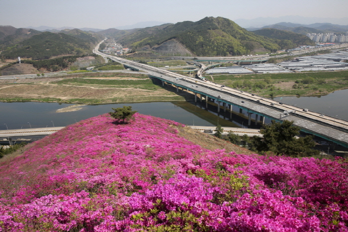 대구 해돋이 명소&#44; 와룡산 정보