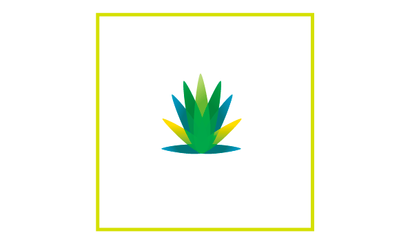 a chic green plant / vector graphic materials free download