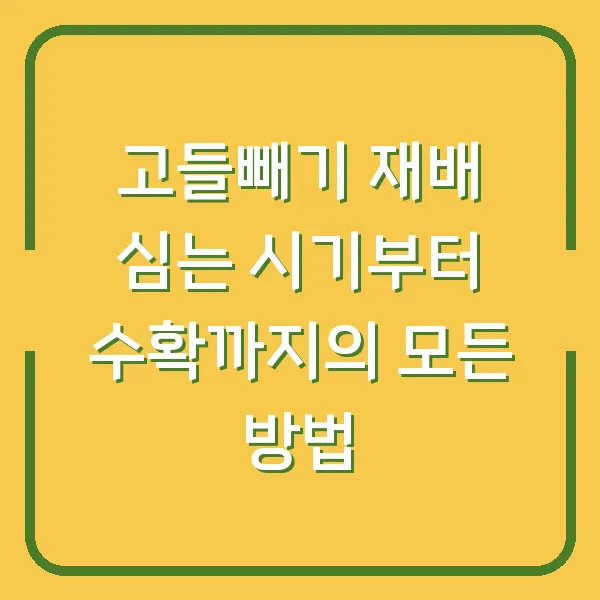 고들빼기 재배 심는 시기부터 수확까지의 모든 방법