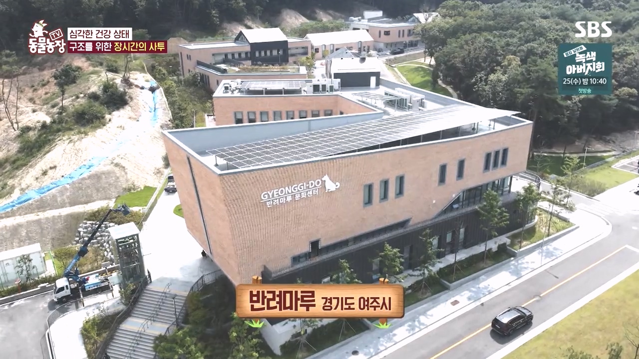 TV 동물농장.E1142.231023p-NEXT.mp4_20231022_172759.171.jpg