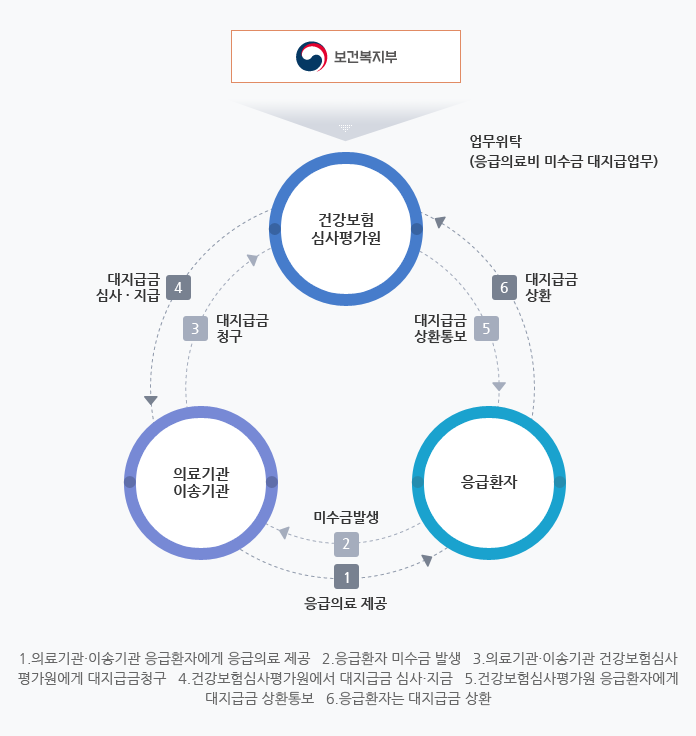  응급대지급제도 [응급실에 갔는데 돈이 없다면?]