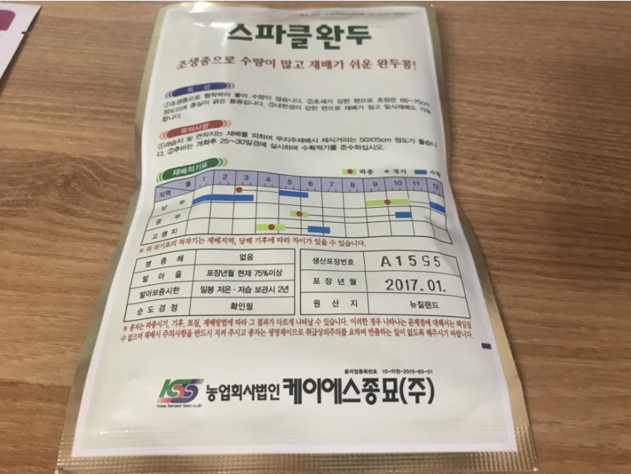 베란다텃밭 딸기 바질 스파클완두 심기