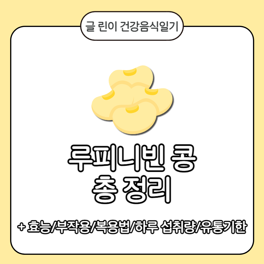  루피니빈 콩 총 정리
