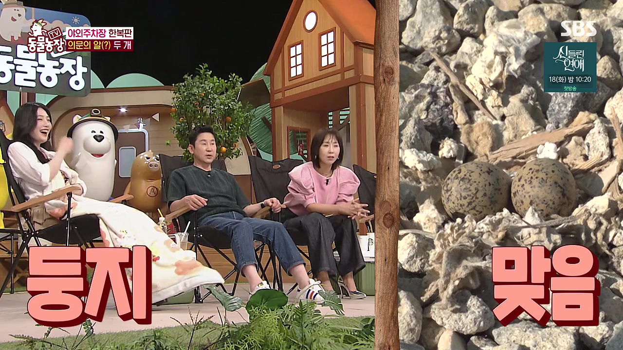 TV 동물농장.E1176.240617p-NEXT.mp4_20240616_170128.610.jpg