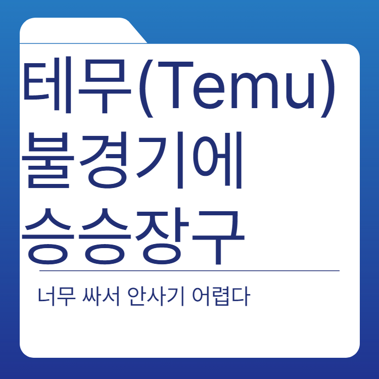  Temu(테무) 사기 쇼핑 후기