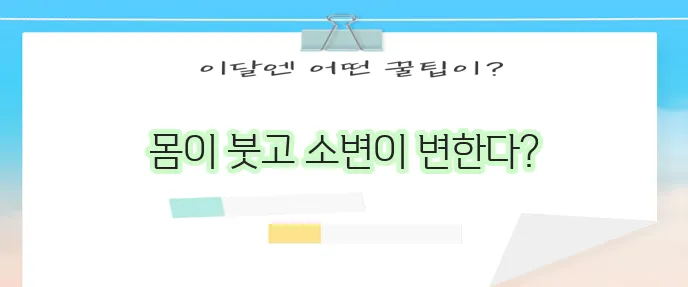 콩팥이 안 좋으면 어떤 증상이 나타날까요?