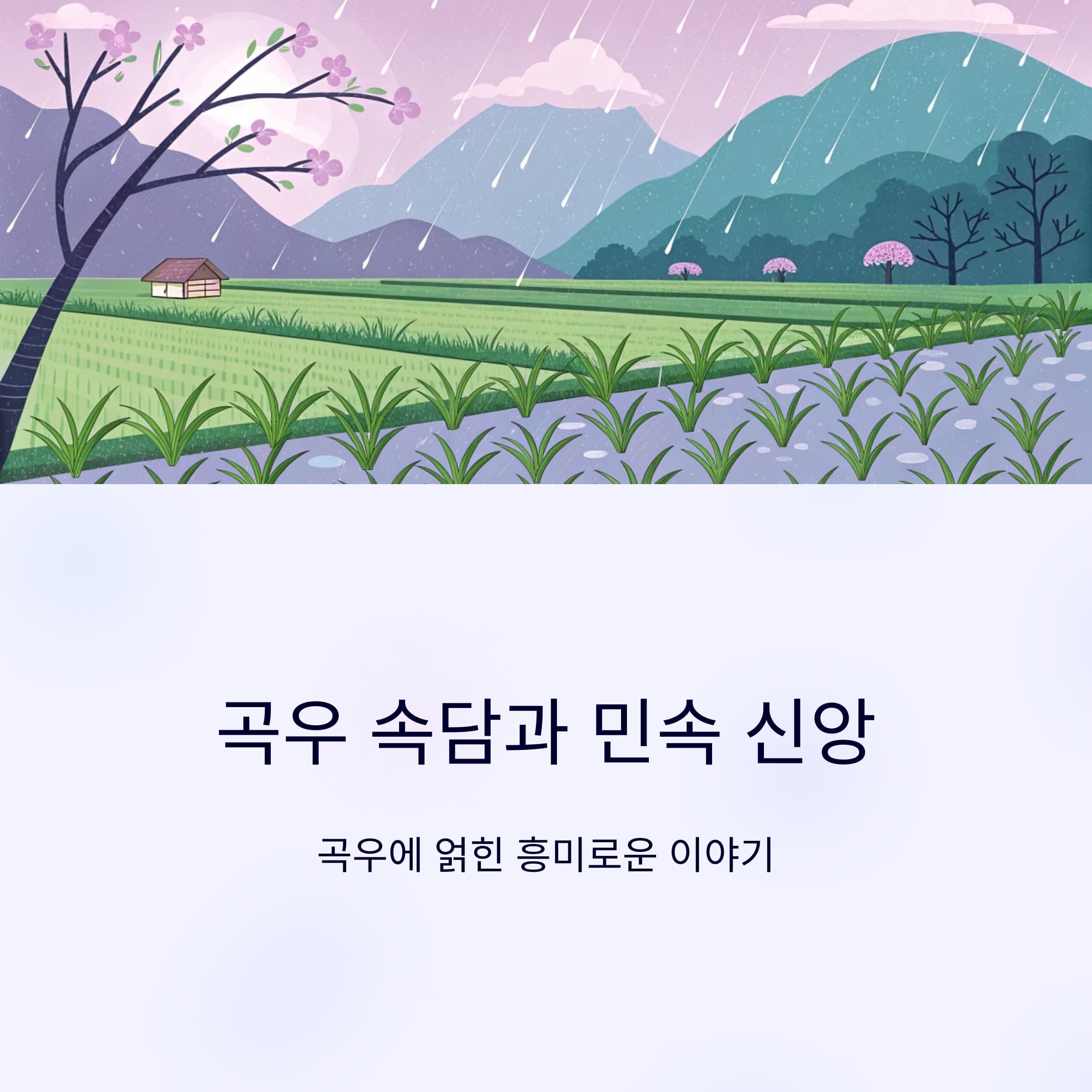 곡우-속담-2025