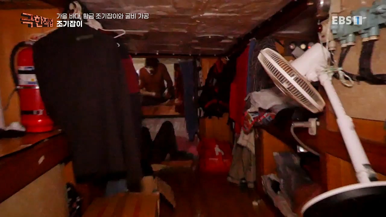 TV - 교육의 중심 EBS가을 바다 황금 조기잡이와 굴비 가공.mp4_20221122_195431.492.jpg