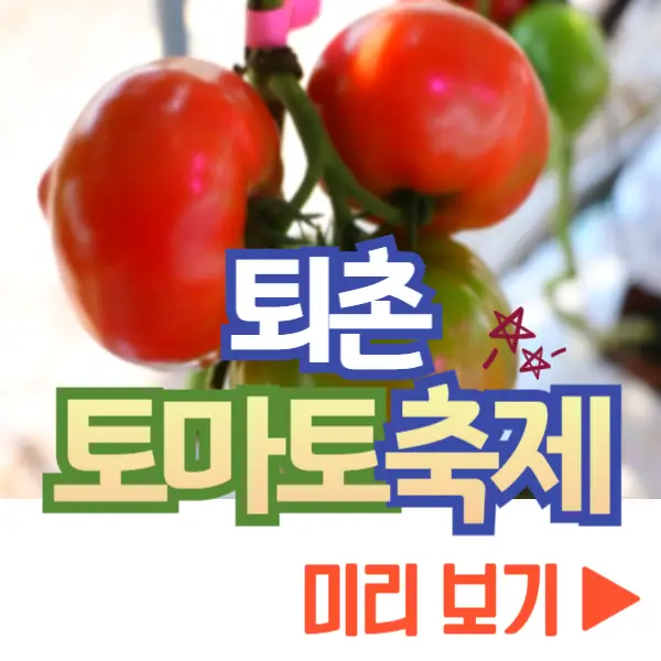 퇴촌 토마토 축제