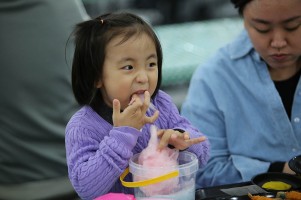 강진 청자축제 기본정보 행사 일정 가수 라인업 특별 체험