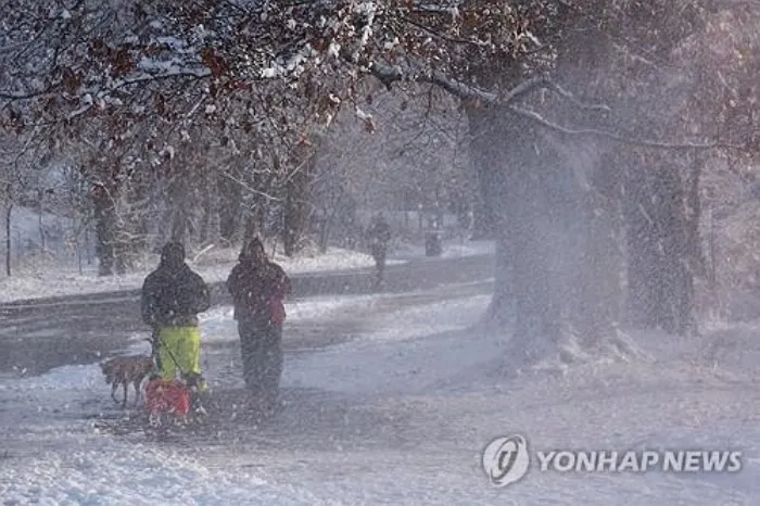 한파 관련주 우량주 추천_7